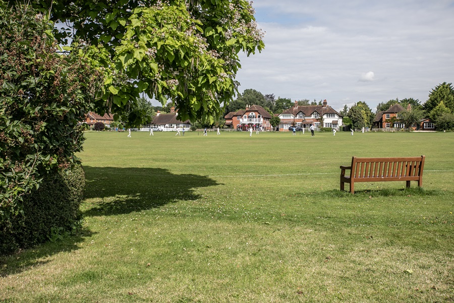 Village green